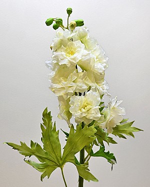 Delphinium 28&quot; White