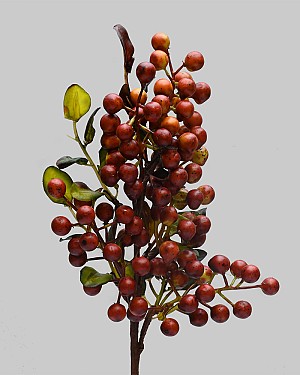 Muscat Berry 17&quot; Rust