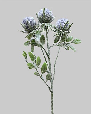 Garden Thistle 21&quot; Purple