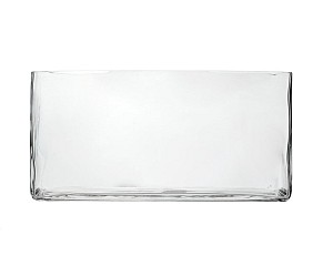 Rectangular Clear Glass Vase 12"L (6"H x 3.5"W)