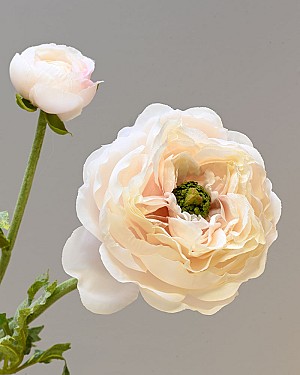 Ranunculus 19.5&quot; Dusty Peach