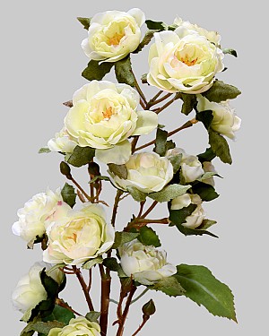 Rose Minnie 18.5" Light Green