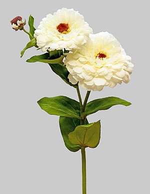 Zinnia 26" White