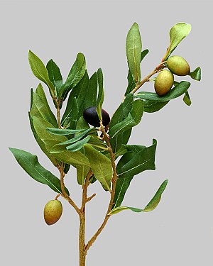 Olive Leaf 21&quot; Black/Green