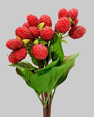 Raspberry Bundle 12&quot; Red