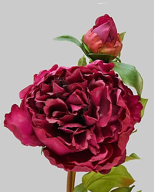 Peony Open with Bud 19.5" Red