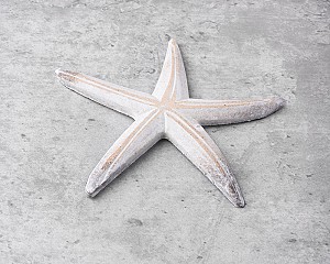 Decorative Starfish 6"L