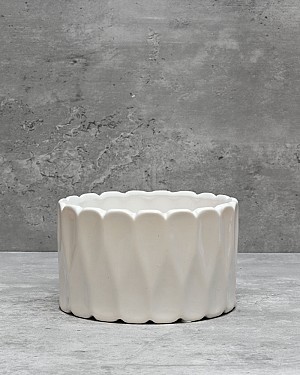 White Scalloped Container 6&quot;D