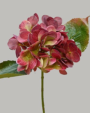 Hydrangea 17&quot; Burgundy