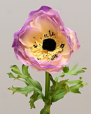 Anemone 17.5&quot; Cream/Purple