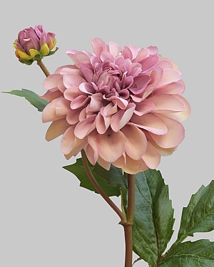 Dahlia 25&quot; Deep Lavender