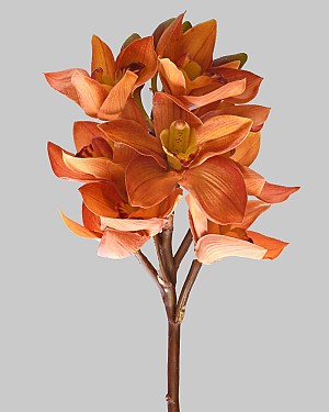 Cymbidium Orchid 19&quot; Orange