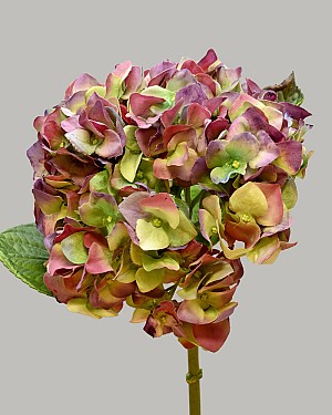 Hydrangea 18&quot; Purple/Green