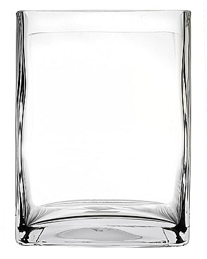 Square Clear Glass Vase 8"H (6"x6")