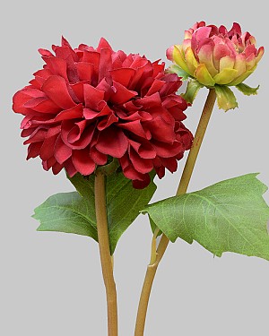 Dahlia 20&quot; Deep Red