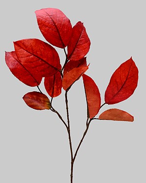 Mulberry Leaf Spray 27&quot; Burgundy