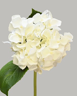 Hydrangea 18&quot; White