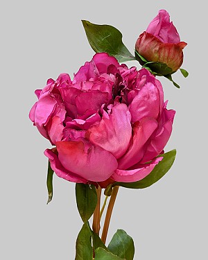Peony Open with Bud 19.5" Dark Pink
