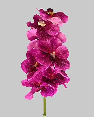 Vanda Orchid 36.5&quot; Fuchsia/Purple
