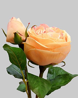 English Rose Cambridge 20" Yellow