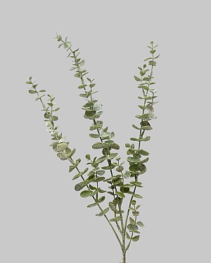 Iced Eucalyptus Green/White 31.5&quot;