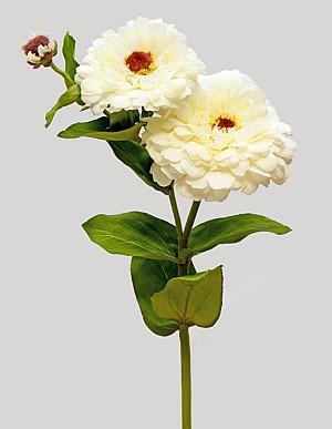 Zinnia 26&quot; White