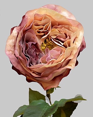 Rose Dutchess Bud 21.5&quot; Cream/Lavender