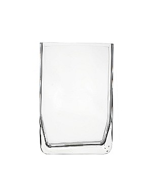 Rectangular Clear Glass Vase 7"H (5"L x 2"W)