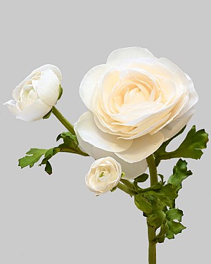 Ranunculus 22.5" Beige