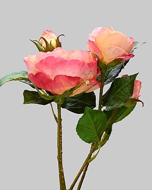 Rose Spray 24" Peach