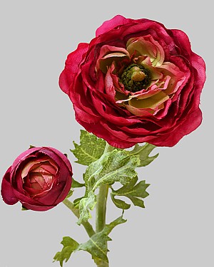 Ranunculus 19.5" Red