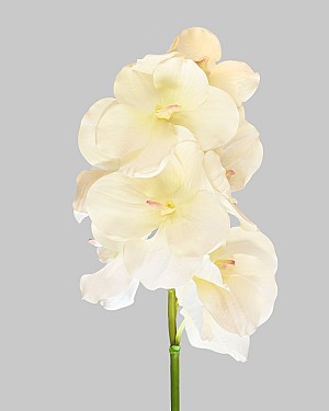 Vanda Orchid 36.5&quot; White