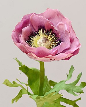 Anemone 17.5&quot; Lavender