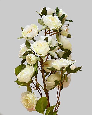 Rose Minnie 18.5" White