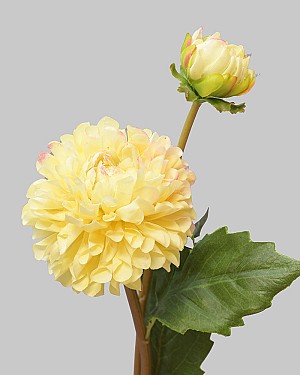 Dahlia 20&quot; Yellow/Pink