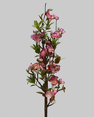 Plum Blossom Branch 24&quot; Pink