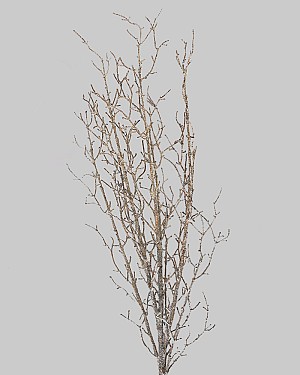 Glittered Twig Spray 34&quot; Brown