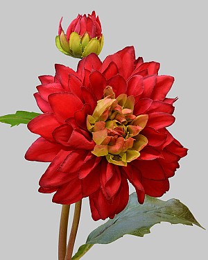 Dahlia 20&quot; Red