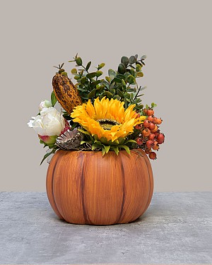 Pumpkin Patch Sunflower