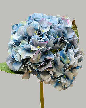 Hydrangea 18&quot; Light Blue