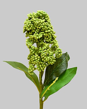 Skemmk 20&quot; Green