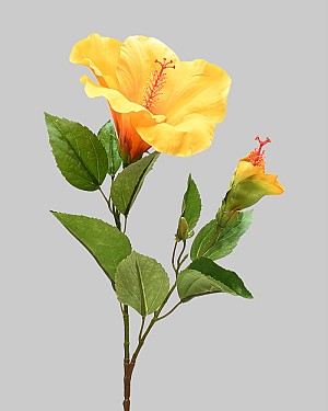 Hibiscus 26&quot; Yellow