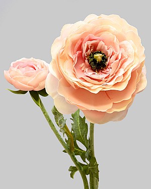 Ranunculus 19.5" Light Mauve