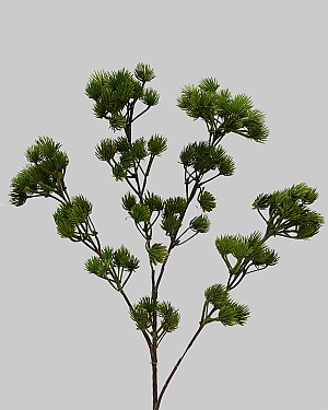 Ming Pine Spray 26&quot; Green