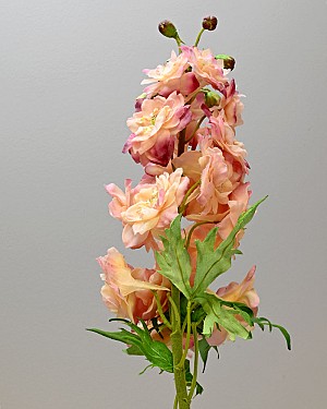 Delphinium 24&quot; Pink/Cream