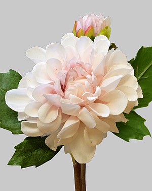 Dahlia 19.5&quot; Dusty Peach