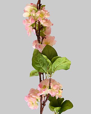 Cherry Blossom 50&quot; Pink