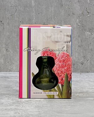 Hyacinth in Glass Gift Kit - Pink