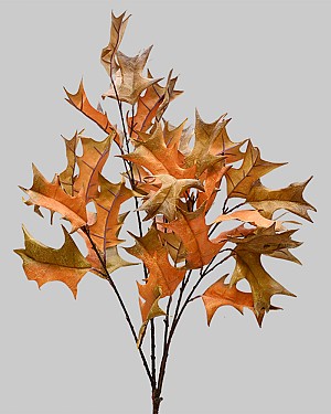 Holly Leaf Spray 32.25&quot; Brown/Orange