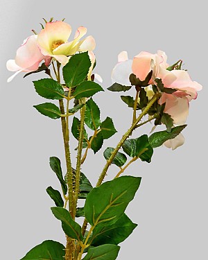 Trailing Rose Spray 23" Peach